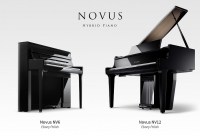 news_nv6_nv12-1